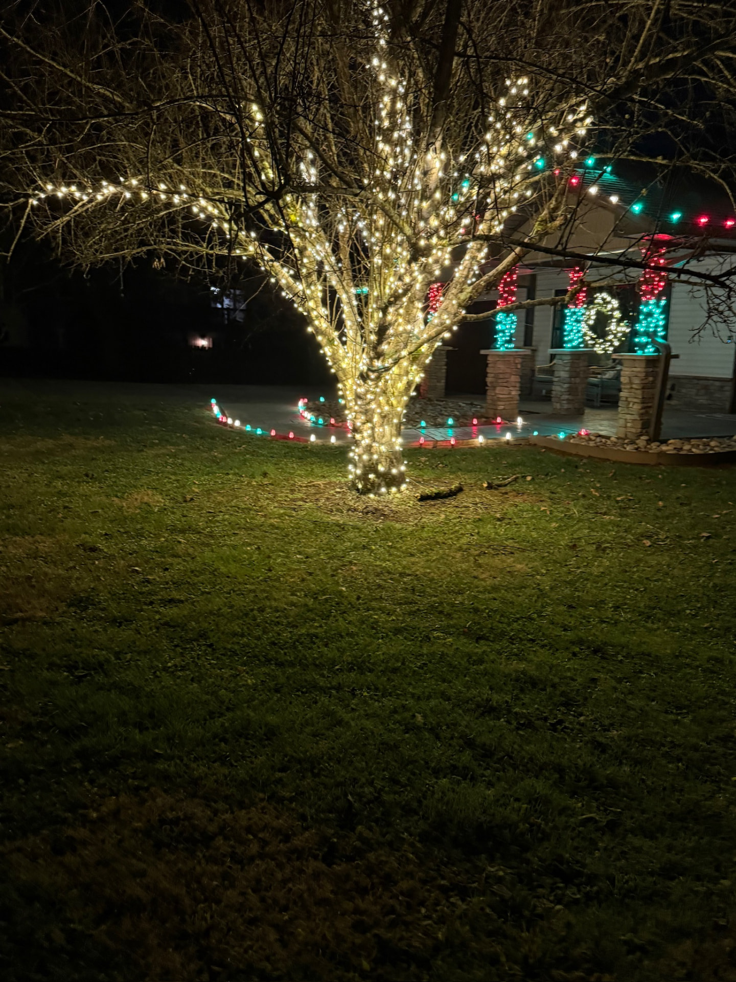 Front yard tree wrapped in warm white lights with a lit JOY porch display and red and green roofline behind it