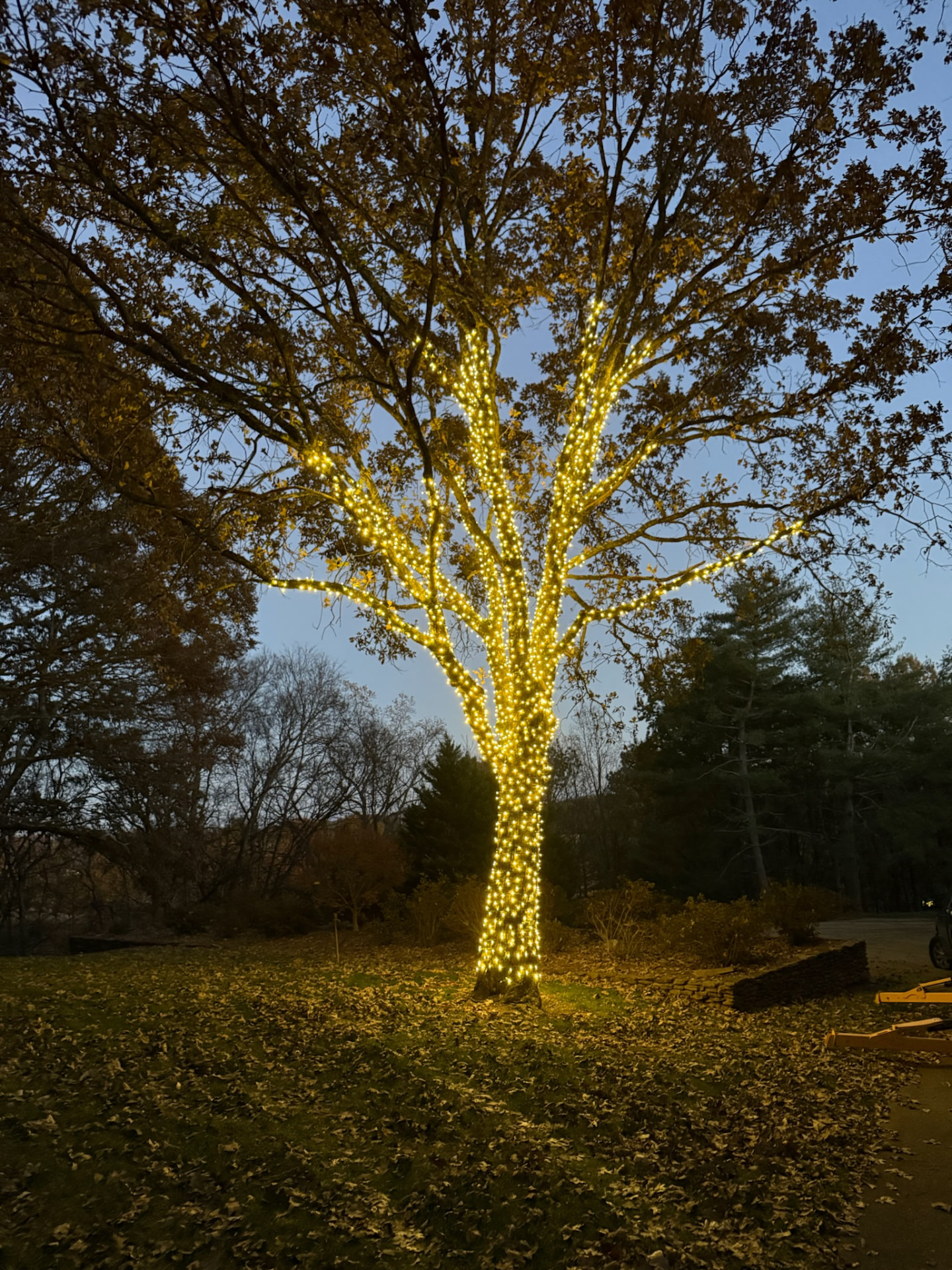 Landscape Lighting in Maryville, TN