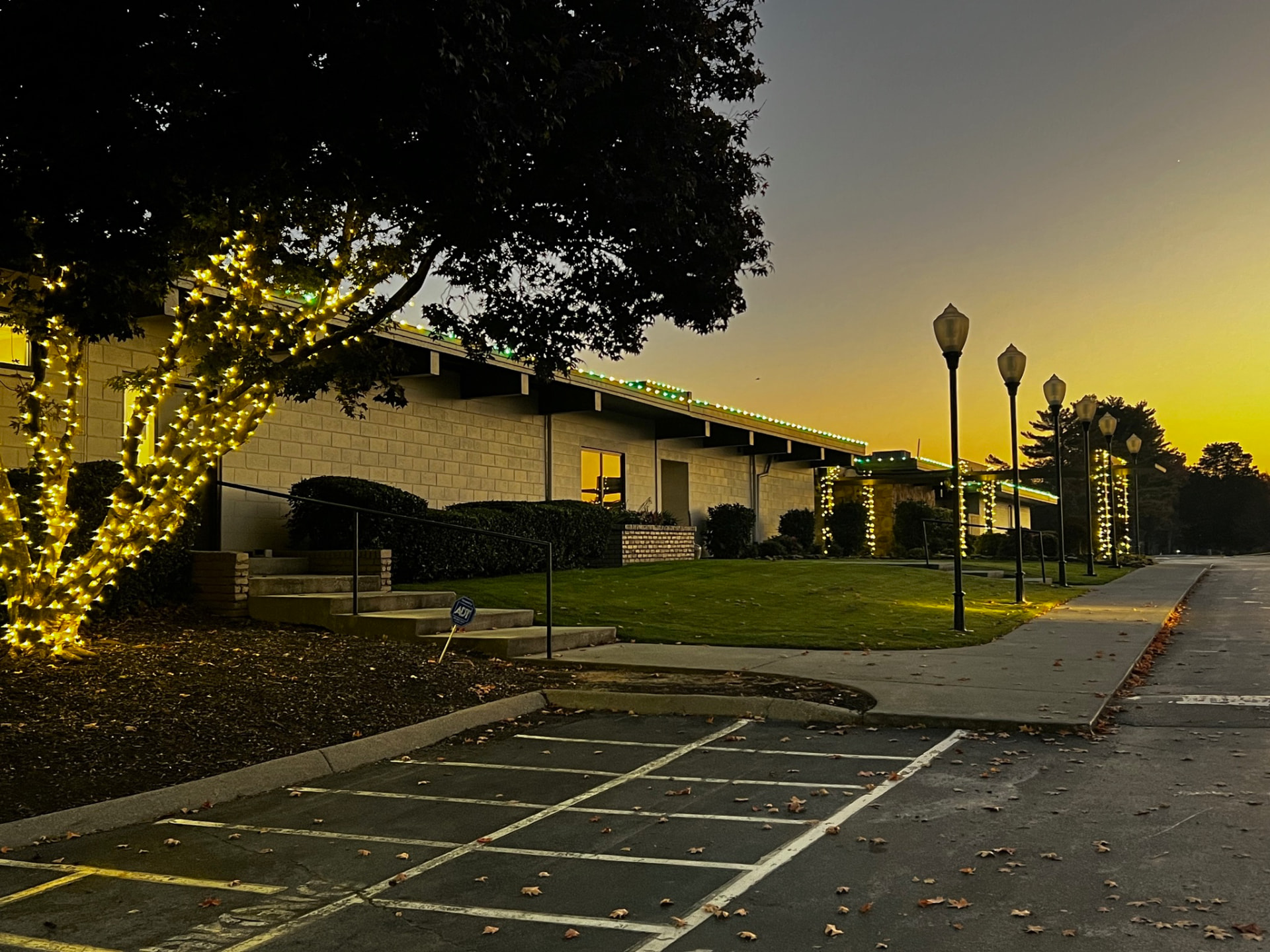 Commercial campus at sunset with a fully wrapped tree, lit columns and green and white roofline Christmas lights running the length of the building